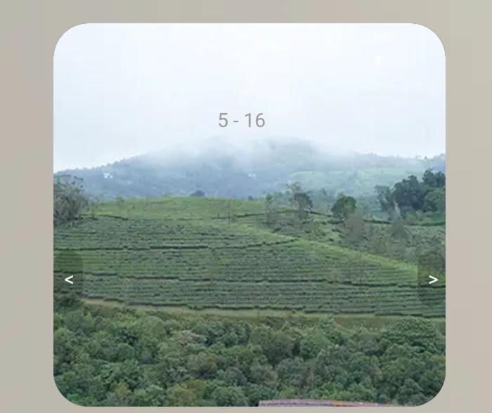 Vagamon Tea County Bed and Breakfast Εξωτερικό φωτογραφία